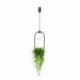 Suspension ZUMA LINE PLANT noir – 1 source E14 – 5003