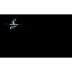 Led Lenser P5R Work / Lampe de poche
