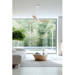 Ventilateur de plafond FARO POROS LED 33524