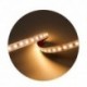 Modee ruban LED SMD 5 m 24 V 9,6 W/m 2700 K IP20