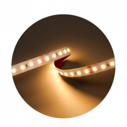 Modee ruban LED SMD 5 m 24 V 9,6 W/m 2700 K IP20