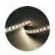 Modee ruban LED SMD 5 m 24 V 9,6 W/m 4000 K IP20