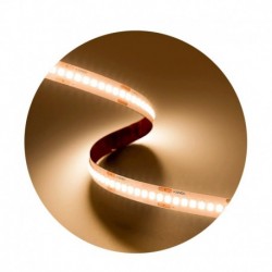 Modee ruban LED SMD 5 m 24 V 19,2 W/m 2700 K IP20