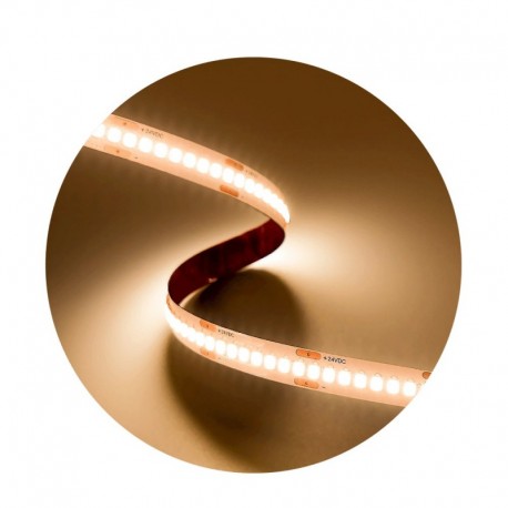 Modee ruban LED SMD 5 m 24 V 19,2 W/m 2700 K IP20