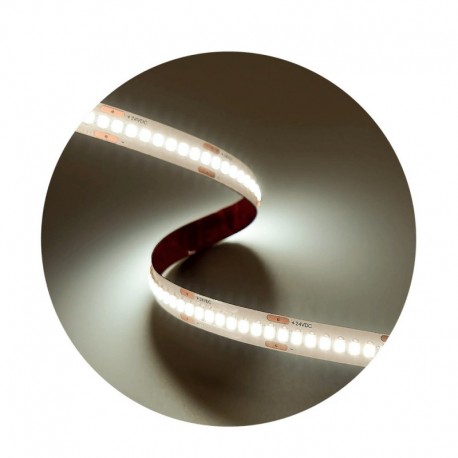 Modee ruban LED SMD 5 m 24 V 19,2 W/m 4000 K IP20