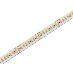 Modee ruban LED SMD 5 m 24 V 19,2 W/m 4000 K IP20