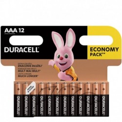 Piles Duracell Basic AAA LR03 1,5 V – lot de 12