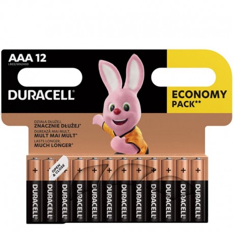Piles Duracell Basic AAA LR03 1,5 V – lot de 12