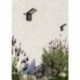 EGLO GROTTAZZOLINA 902413 – applique extérieure noir texturé – H 175 mm