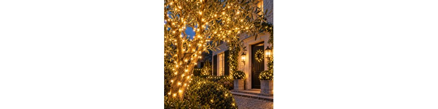 Guirlandes de No&euml;l ext&eacute;rieures