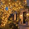 Guirlandes de Noël extérieures