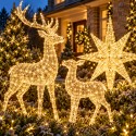 Décorations lumineuses de Noël extérieures